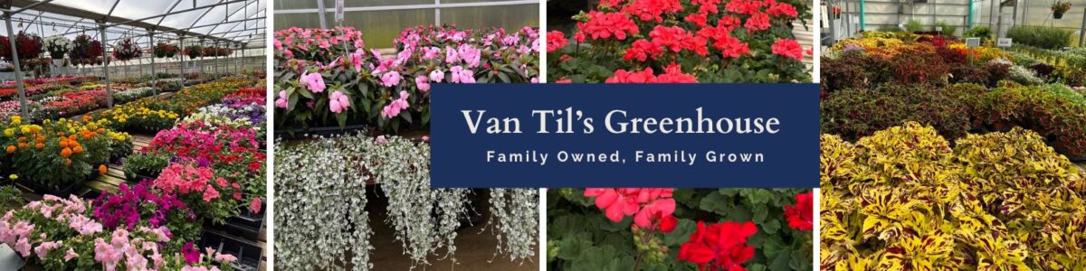Van Til's Greenhouse